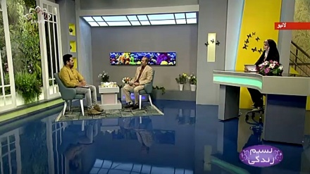 نسیم زندگی - ہمسائیگی کے آداب