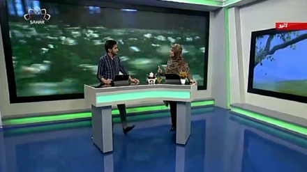 سماجی پروگرام ۔ زندگی سلام