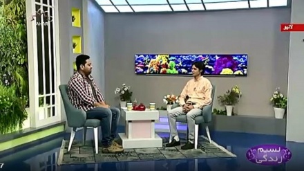 نسیم زندگی - روایتی طب میں ہارٹ اٹیک اور برین ہمریج کا علاج