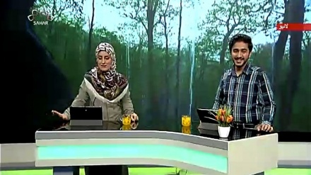 سماجی پروگرام ۔ زندگی سلام