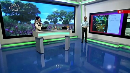 سماجی پروگرام ۔ زندگی سلام