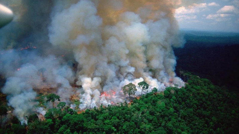 Šumski požari u Amazonu faktor nesuglasica između Njemačke i Francuske