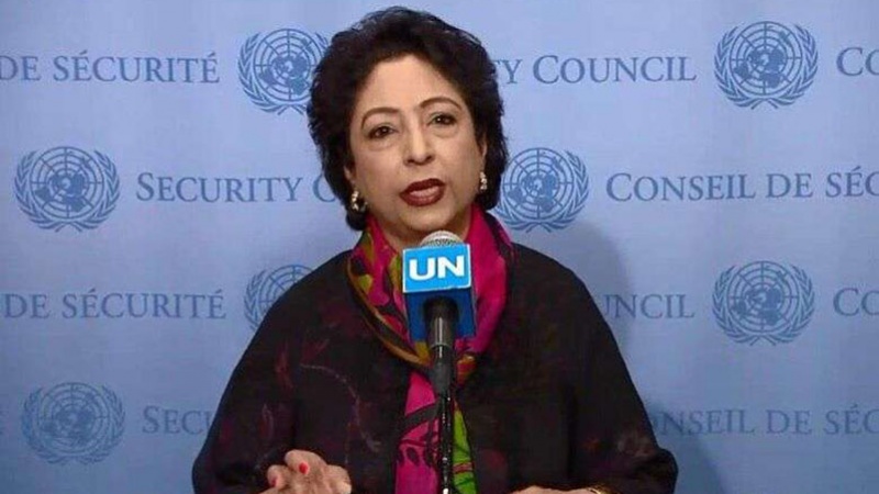سلامتی کونسل نے مسئلہ کشمیر کو عالمی مسئلہ قرار دیا: ملیحہ لودھی