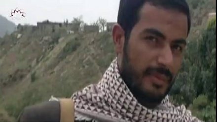 یمن: انصارالله کے سربراه کے بهائی شہید