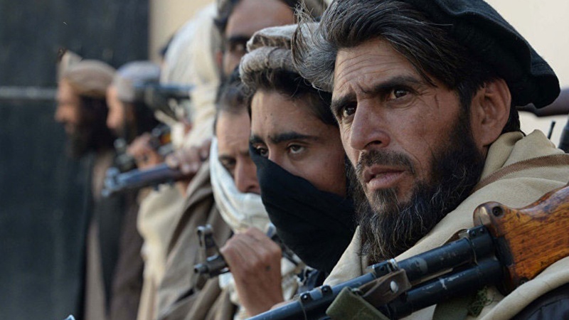 افغانستان میں صدارتی انتخابات کے عدم انعقاد پر طالبان کی تاکید 