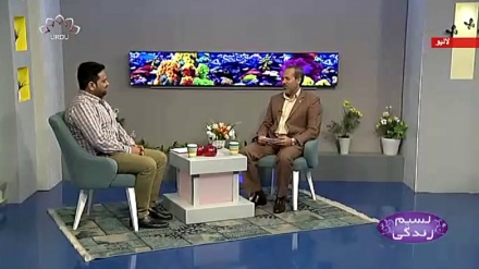 نسیم زندگی - حضرت علی (ع) اور حضرت فاطمہ (س) کی شادی کا دن