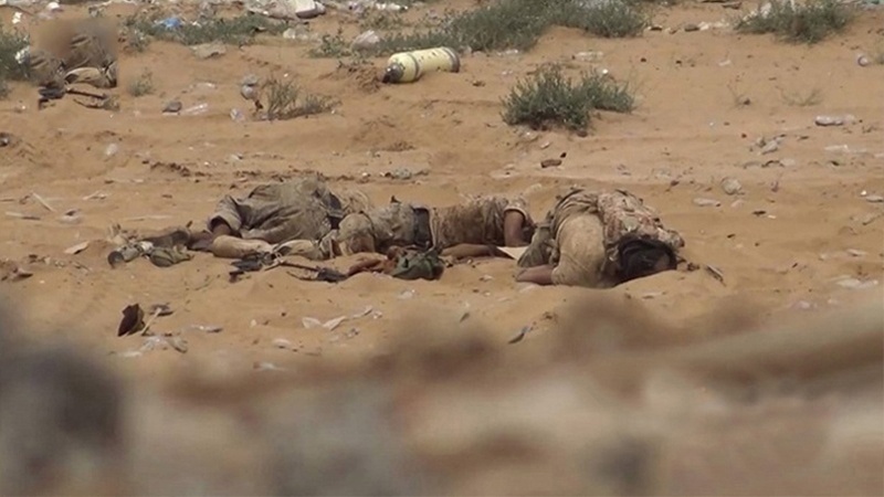یمنی فوج کے حملوں میں دسیوں جارح فوجی ہلاک اور زخمی 