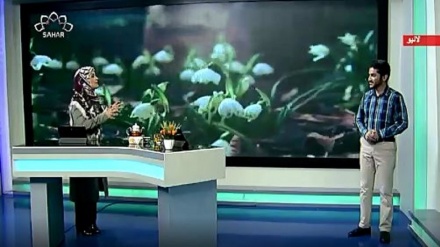 سماجی پروگرام ۔ زندگی سلام