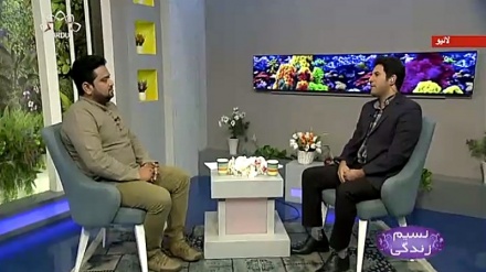 نسیم زندگی - بچوں کے لئے مناسب غذا 