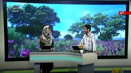 سماجی پروگرام ۔ زندگی سلام