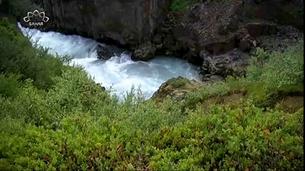 قطره قطره زندگی - ڈاکومینٹری