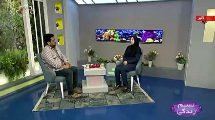 نسیم زندگی - بچوں کی ذہانت