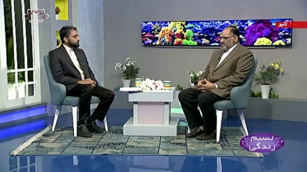 نسیم زندگی - مسجد کا ابلاغیاتی کردار