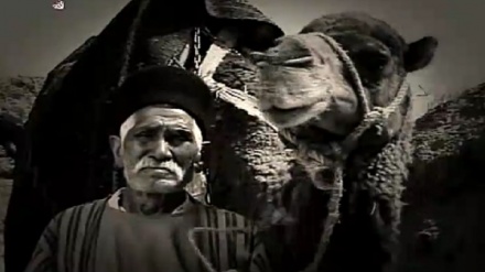 پەیجۆرانی پارسه - 13-09-2019