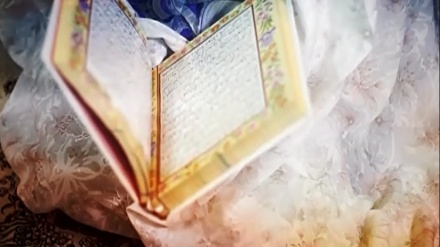 چەن بەشێک لە بەڵگە فیلمی گوڵەبەڕۆژە