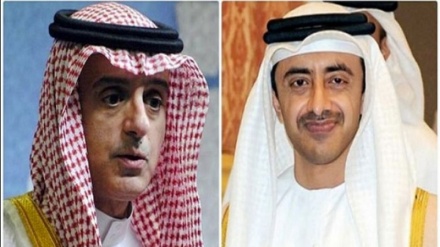 پاکستانی وزیراعظم  سے سعودی اور اماراتی وزرائے خارجہ کی ملاقات