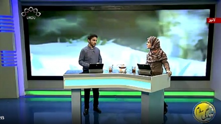 سماجی پروگرام ۔ زندگی سلام