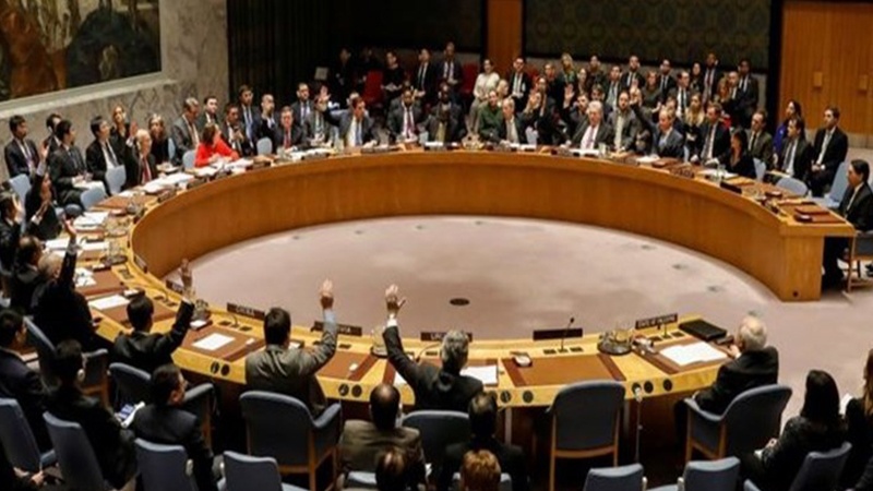 ترکی کے خلاف ییان جاری کرنے میں سلامتی کونسل کی ناکامی 