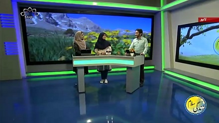 سماجی پروگرام ۔ زندگی سلام