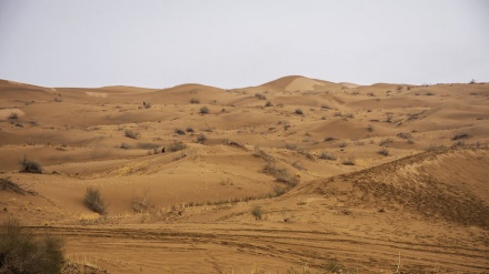 کوێستانەکانی کەویر - 20-12-2019