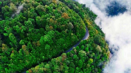 سرووشی جوان و دڵڕفێنی باکووری ئێران 