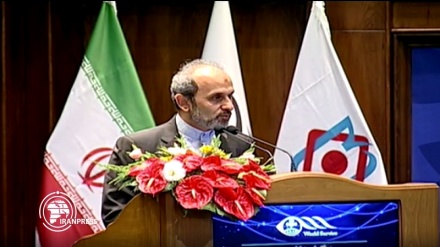 انقلاب اسلامی کبھی بھی اپنی سرحدوں میں محدود نہیں رہا: ڈاکٹر پیمان جبلی 