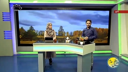 سماجی پروگرام ۔ زندگی سلام