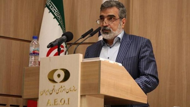 ایران ،ایٹمی معاہدے پر عمل درآمد میں کمی کا سلسلہ جاری رکھے گا:ایران کے محکمہ ایٹمی توانائی کے ترجمان کا اعلان