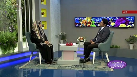 نسیم زندگی - بچوں میں موٹاپااور اس کا علاج