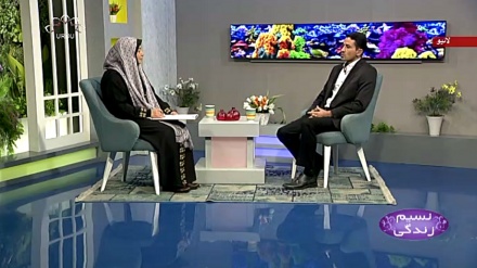 نسیم زندگی - صحت اور سلامتی کے عوامل