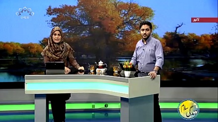 سماجی پروگرام ۔ زندگی سلام