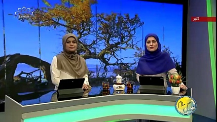 سماجی پروگرام ۔ زندگی سلام