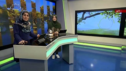 سماجی پروگرام ۔ زندگی سلام