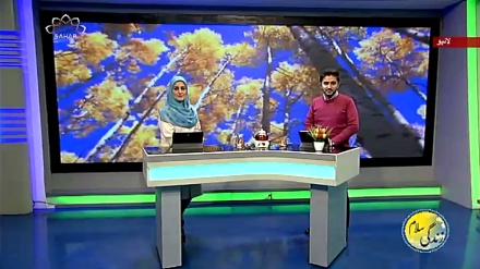 سماجی پروگرام ۔ زندگی سلام