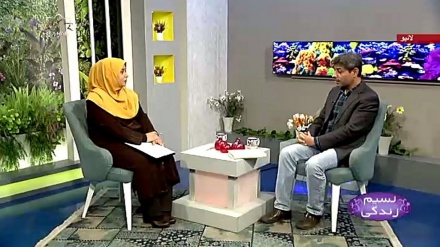 نسیم زندگی - اتحاد بین المسلمین