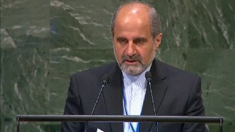 ایران مخالف انسانی حقوق کی قرارداد ریا کارانہ ہے، آل حبیب 
