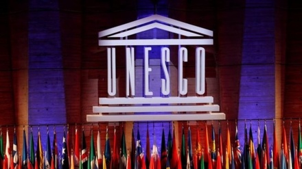 UNESCO milli media işçilərinə qarşı terroru pisləyib