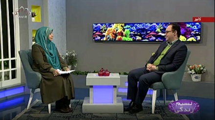 نسیم زندگی - گردے میں پتهری