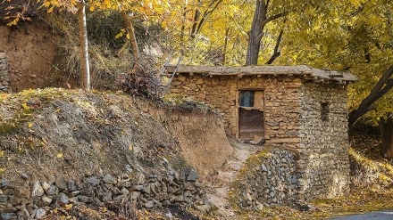 نەوایێک کوردی بە ناوی حاڵی پەرێشان