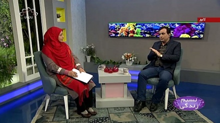 نسیم زندگی - اپنی فطرت سے دوستی