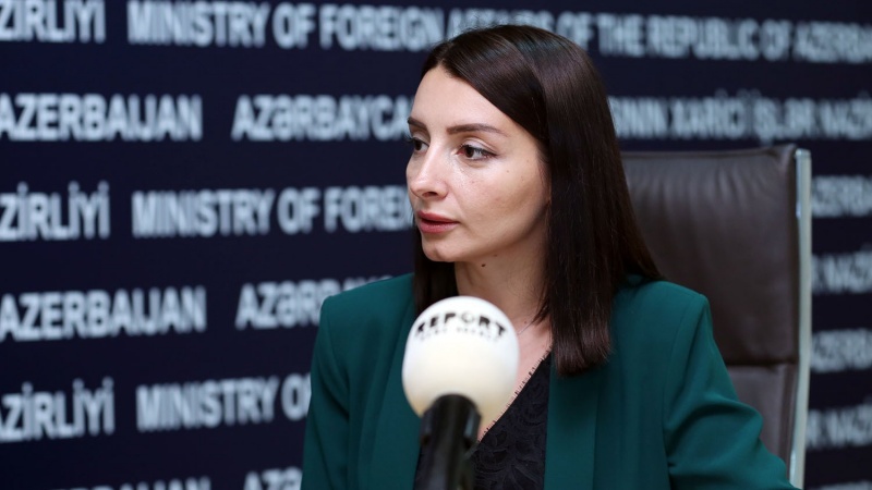 Leyla Abdullayeva: “Ermənistan xarici işlər naziri yeni heç bir fikir söyləməyib”
