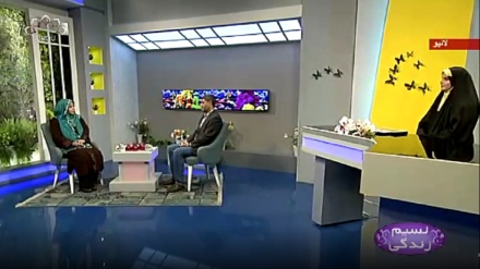 نسیم زندگی - سائبر اسپیس کے مختلف  پہلو