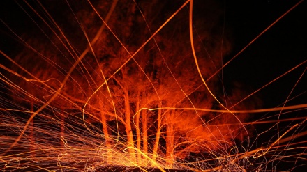 دہکتی آگ کا جنگل ۔ تصاویر