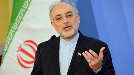 ایران نے رضاکارانہ طور پر آئی اے ای اے کو دو ایٹمی سائٹوں تک رسائی دی: علی اکبر صالحی