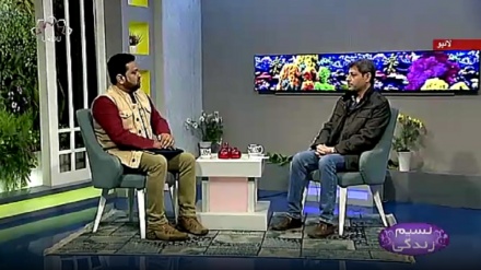 نسیم زندگی - مطالعے کے لئے بچوں کی ترغیب