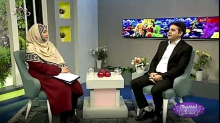 نسیم زندگی - مرزا غالب اور سفر کلکتہ