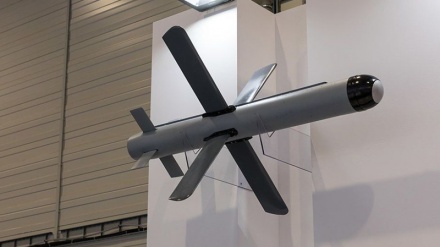 صیہونی حکومت سے میزائل کی خریداری پر ہندوستان کی تنقید 