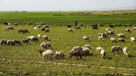 بەهەشتی پارێزگای خوزستان ، شاری ئیزە