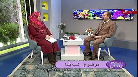 نسیم زندگی - شب یلدا