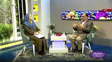 نسیم زندگی -  عفو و درگذر